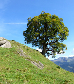 ddos攻击测试工具