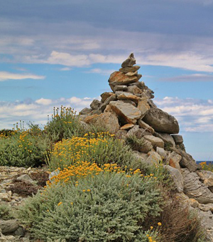 手机版ddos攻击器